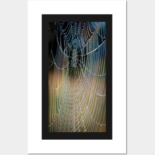 Colourful Spider Web with Dewdrops Posters and Art